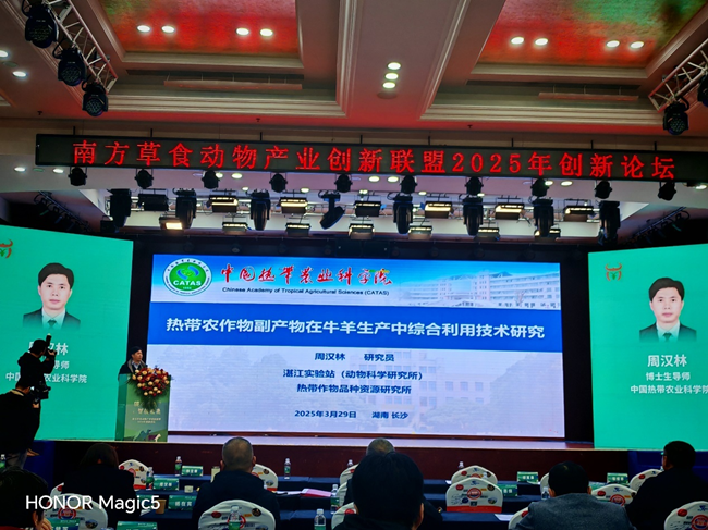 图片2_副本2.png
