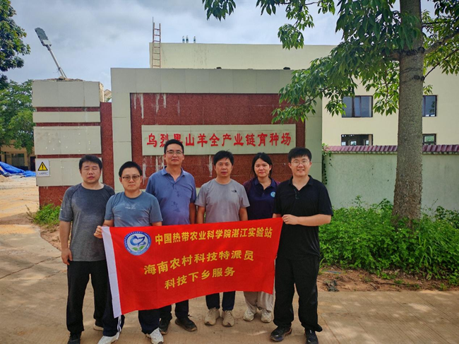 图片2_副本.png