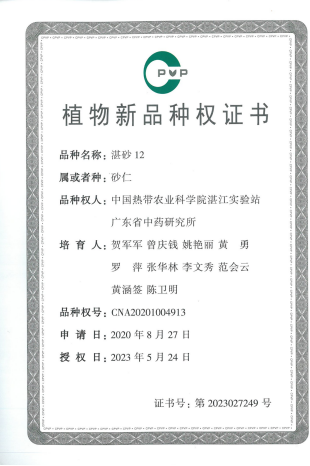 图片8.png
